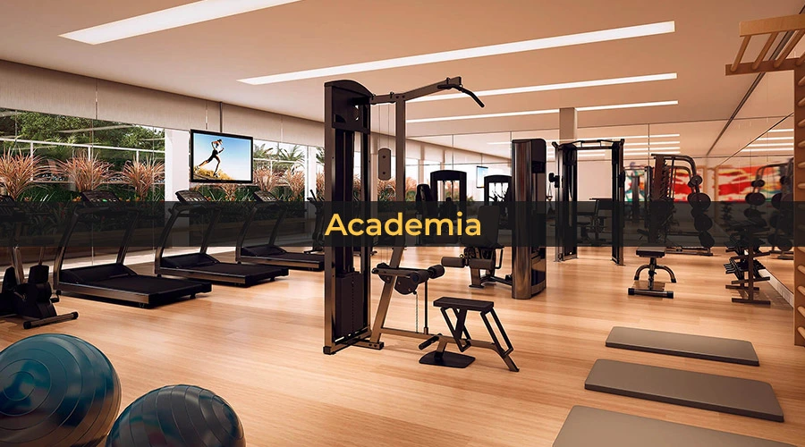 academia-v2
